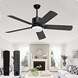 Biukis Deckenventilatoren mit Beleuchtung 132 cm Deckenventilator, Fernbedienung LED-Licht...