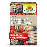 Neudorff Azet Beeren- & ObstDünger – Bio-Dünger für mehr Geschmack und reiche Ernte...