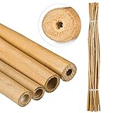 Relaxdays Bambusstäbe 150cm, aus natürlichem Bambus, 25 Stück, Bambusstangen...