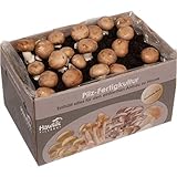 Hawlik Pilzbrut I Großes 10kg Stein-Champignon Pilzzuchtset XXL I Pilze züchten Set I...