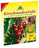 Kirschmadenfalle