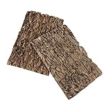 DOITOOL Terrarium Rückwand Kork, 2 Stück Champagnerrinde, 30 X 20 cm Natürliche...