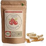 SPINTZ® 420 Stk. Bio Hagebutten Kapseln - vegane Hagebutten Kapseln hochdosiert...