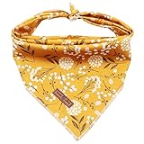 Lionet Paws Hunde Bandana Kopftücher Hundehalstuch Dreieckstuch für Kleine, Mittelgroße...