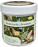 Schacht 1BAUM250 Baumwachs 'Brunonia' 250 g Dose