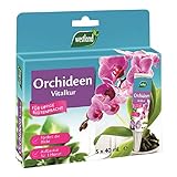 Westland Orchideen Vitalkur, 5x 40 ml – Pflanzendünger für gesundes Wachstum und...