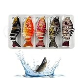 Bvizyelck Barsche Köder - 5 Stück sinkende Köder für das Angeln,Mehrfach Gegliederter...