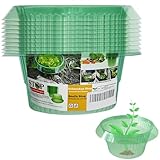 VDYXEW 10 Stücke Schneckenkragen,Schnecken-Schutz für Ihre Salatpflanzen und Kohl...