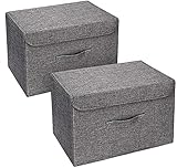 DIMJ 2er Set Aufbewahrungsbox mit Deckel, Faltbare Aufbewahrungskiste mit Griff,...
