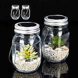 Relaxdays Solarlampe Glas 2er Set, Solarleuchte 4 LEDs, Kaltweiß,...