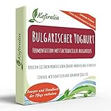 Joghurtferment für bulgarischen Joghurt, traditionelle Kulturen