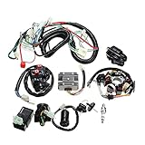 qinqin 125cc 150cc 200cc 250cc Dirt Bike ATV-Quadelektrik Fit for Zongshen Lifan Ducar...
