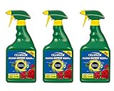 CELAFLOR® Pilzfrei Saprol® Rosen AF 2,25 l- Vollsystemisches,...