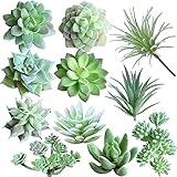 Dzxin Künstliche Sukkulenten, 11 Stück, Mini-Kunstpflanze, für den Außenbereich, für...
