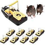 ENDOH Effektive Mausefallen Schlagfallen 8pcs - Verbessertes Design mit attraktivem...