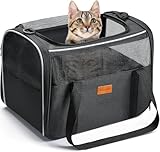 Morpilot Katzentransportbox für Katzen und Welpen bis 5kg, Katzenbox Hundetasche mit...