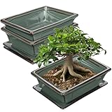 2er-Set Bonsai Keramiktopf Bonsaischale mit Untersetzer und...
