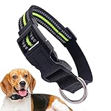 Hundehalsband aus Nylon | Kleine Hundehalsband Nylon Schnalle Hundeanhänger...