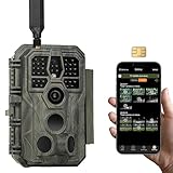 GardePro X50 4G LTE Wildkamera mit SIM-Karte und App, 32MP 1296P H.265 Video, No Glow...