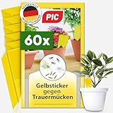 PIC Gelbsticker Trauermücken - 60x Gelbtafeln gegen Trauermücken, Effektiv Gelbfalle...