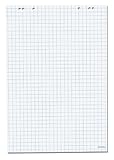 Herlitz 10834141 Flipchartblock 68x99cm, 20 Blatt kariert, 80 g/m², FSC Mix, 5 Stück,...