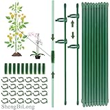 ShengBiLong Pflanzenstütze, 20 Stück Pflanzenhalter, mit 20 Karabinern Ausgestattet, mit...