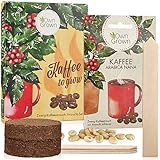 Kaffee Geschenk Set: Kaffee Geschenkset mit Kaffeestrauch Samen für ca. 5 schöne Kaffee...