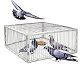 Taubenfalle Käfig mit ausbruchsicherem Design - Auto Vogelfalle Käfig für Tauben und...