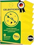60x Gelbsticker Trauermücken | Testsieger - Sehr Gut | Gelbtafeln inkl....
