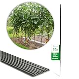 Novatool 20 Pflanzstäbe 90 cm grün 8mm Durchmesser Rankstäbe Rankhilfe...