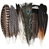 Große natürliche Federn, 35 Stück, 6 verschiedene natürliche Federn, Pfauenfedern,...