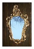 Lnxp EXKLUSIVER WANDSPIEGEL ANTIK BAROCKSPIEGEL Rokoko Retro ANTIK Gold 50X76 WANDDEKO