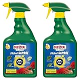 Substral Celaflor Pilzfrei Saprol Rosen AF, anwendungsfertiges Spray gegen Pilzkrankeiten...