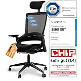 Ergotopia NextBack | Ergonomischer Bürostuhl gegen Rückenschmerzen |...