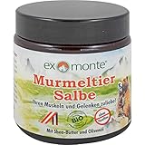 exmonte Murmeltiersalbe, 1er Pack (1 x 0.1 l)