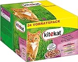 Kitekat Katzennassfutter Markt–Mix in Gelee, 48 Portionsbeutel, 24x100g (2er Pack) –...