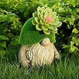 WENYLE Gartenzwerg Figur Dekor, Harz Solar Zwerge Sukkulenten Statuen mit Solarleuchten...