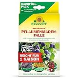 Neudorff Neudomon PflaumenmadenFalle Nachfüllpack, Lockstoff und Leimböden für...