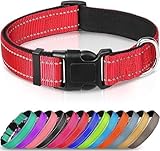 Joytale Halsband Hund, Gepolstertes Hundehalsband Breit aus Neopren Nylon Hundehalsband...