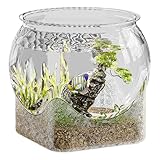 Dzqad Rundes Fischglas, Aquarien Fischschalen, Tischaquarium für Kampffische...