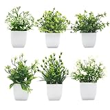 Druuzyl 6 Stück Künstliche Pflanzen im Topf, Mini Kunstpflanzen-Set für...