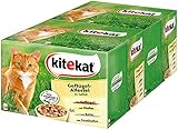 Kitekat Katzenfutter Geflügel-Allerlei in Gelee, 48 Beutel (2 x 24 x 100 g)