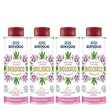 BENVOLIO 1938 BIO HANFÖL Bio Kaltgepresst Nativ – 4x250 ml - 100% REIN HANFSAMENÖL...