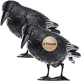 KADAX Schwarz Rabe, Taubenabwehr und Taubenschreck aus Kunststoff, Vogelabwehr,...
