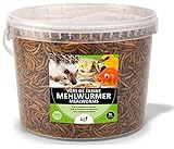 UGF - Premium Mehlwürmer getrocknet 3 Liter Eimer, Vogelfutter Wildvögel Ganzjährig,...