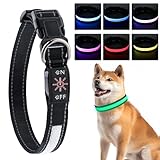 Leuchthalsband Hund, USB LED Leuchthalsband Hund Aufladbar, IPX7 Wasserdichtes...
