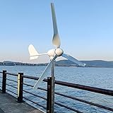 1000W Windkraftanlage 12V 24V 48V Windturbine Generator mit Hybrid Controller für den...