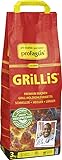 Sommerhit Grillbriketts, 1 x 3000 g