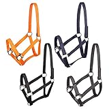 PFIFF 102921 Sicherheitshalfter Jocose, Weidehalfter Paddockhalfter, Schwarz,...