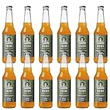 Set 12x Fruit Drink Guarani Mentha & Boldo | Fruchtgetränk mit Mate Tee in Flaschen |...